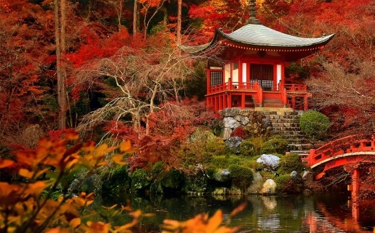 粉象生活发小红书