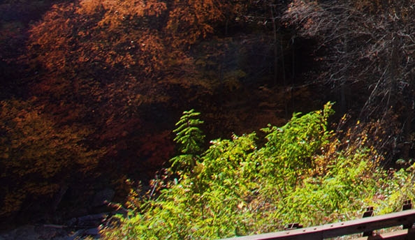 粉象生活可以赚钱吗