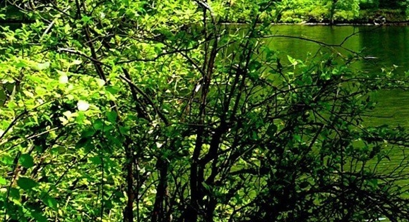 粉象生活注销账号后无法再注册吗