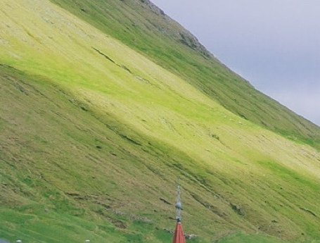 粉象生活真的可以