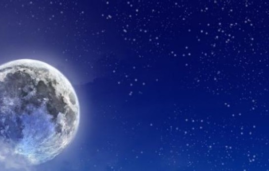 粉象生活下载app