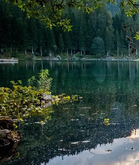 粉象生活不是vip可以得佣金吗