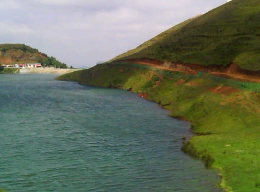 粉象生活邀请码