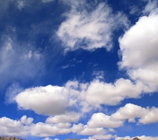 肇庆粉象生活怎么样