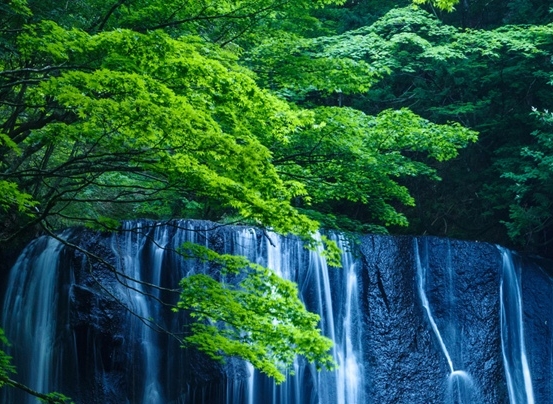 粉象生活怎么做赚钱