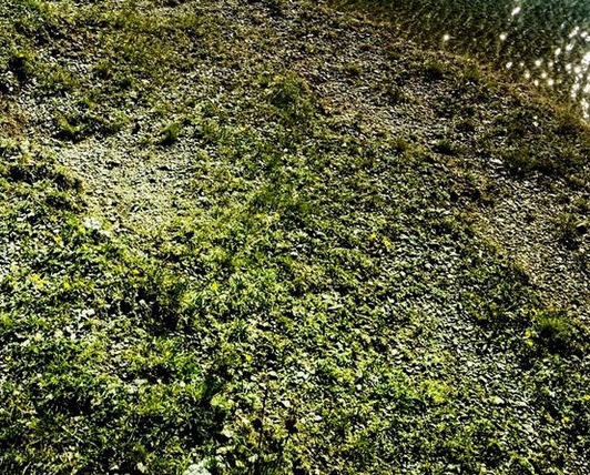 如何用粉象生活买口罩