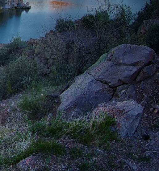 粉象生活的团队怎么注册