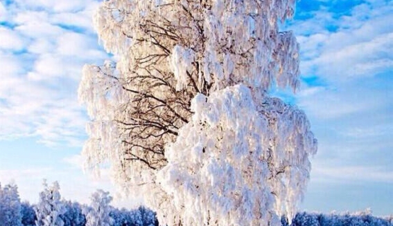 粉象生活邀请码怎样申请