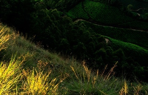 肇庆粉象生活合伙人