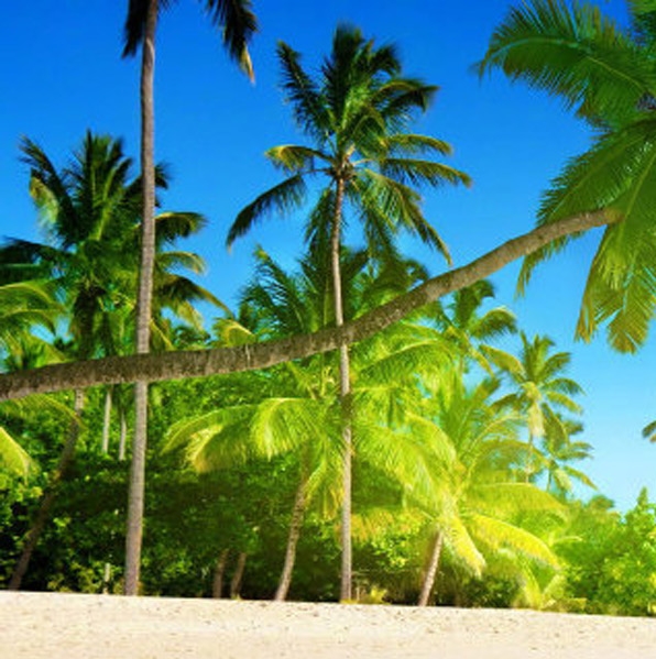 东小店粉象生活攻略