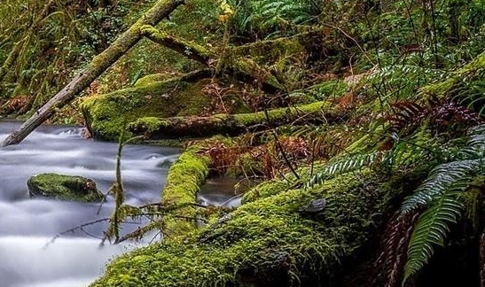 粉象生活公司招聘文案范文