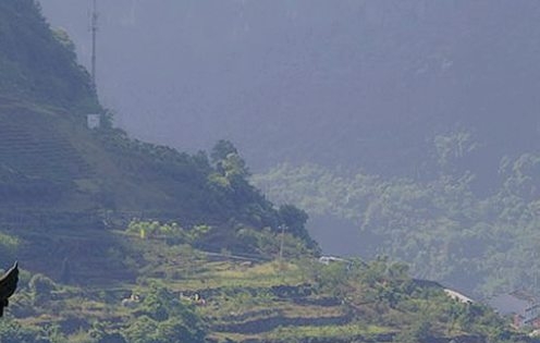 梅州粉象生活团队
