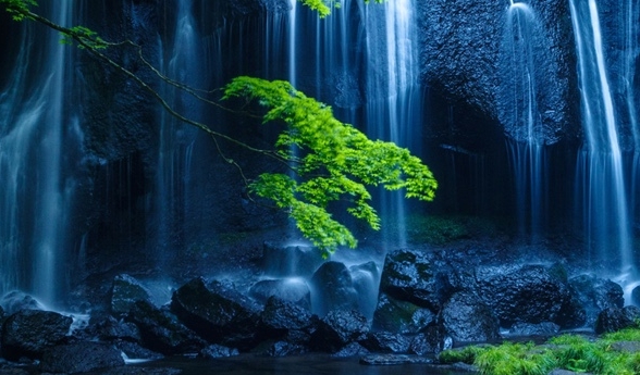 粉象生活下载