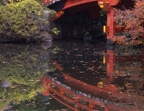 粉象生活要怎么用