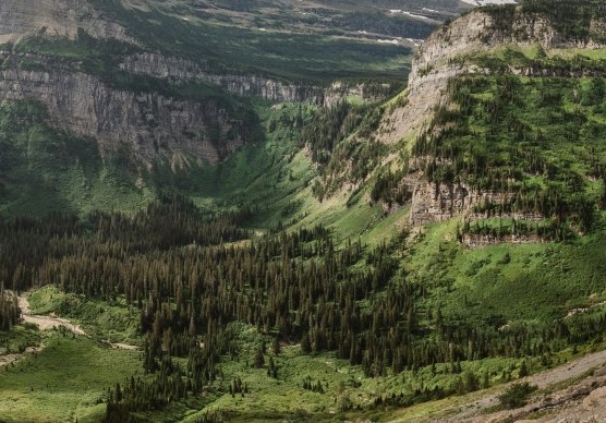 粉象生活团队竞技免费玩
