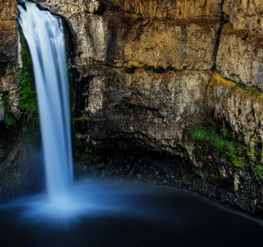 粉象生活骗局大揭秘