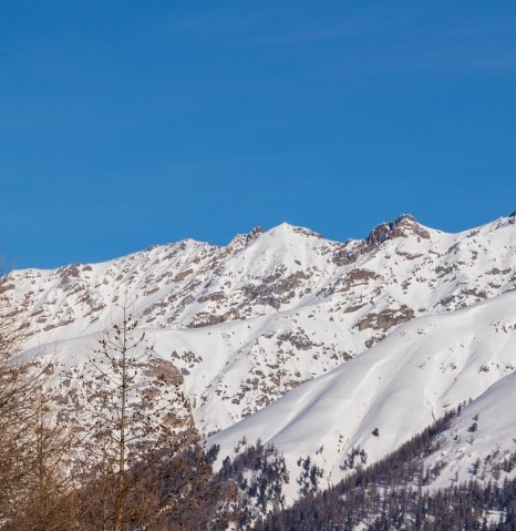 粉象生活下载app