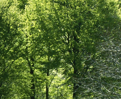 免费游戏试玩不需登录