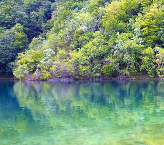 公众号招聘文案范文