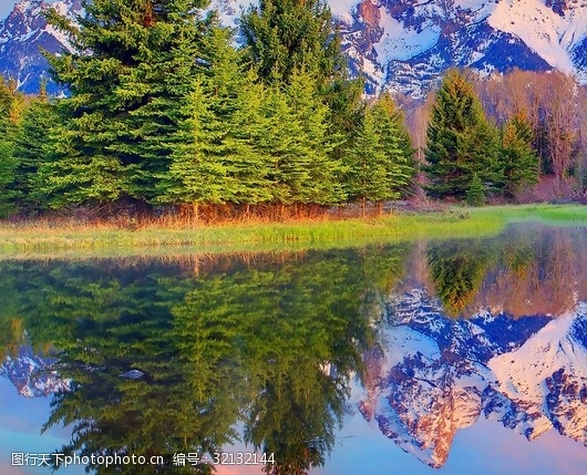 粉象生活开奖中