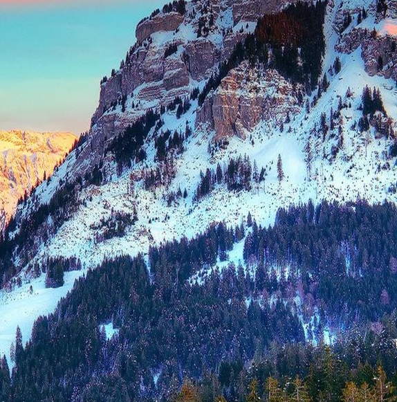 粉象生活下载官方正版