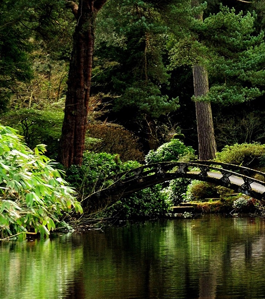 粉象没有邀请码