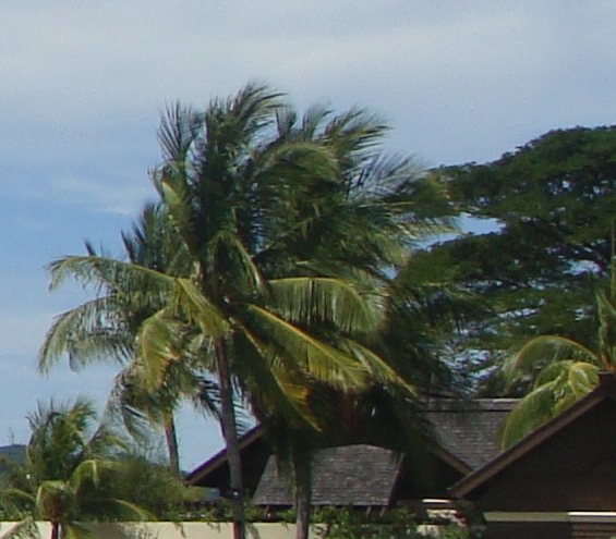 粉象生活上怎么用