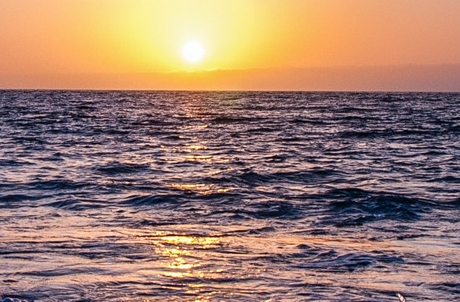 粉象生活佣金利润表