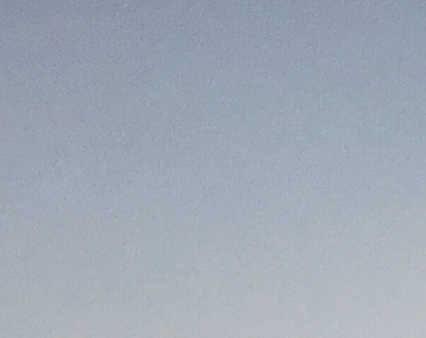 粉象生活山东团队