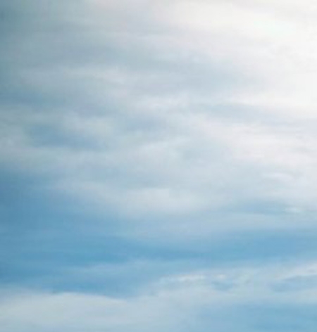 粉象生活升级条件