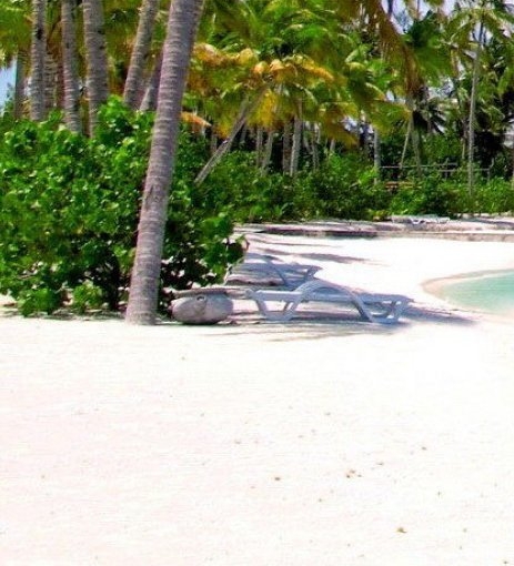 粉象生活是干嘛的