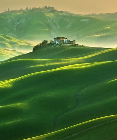 粉象生活下载app