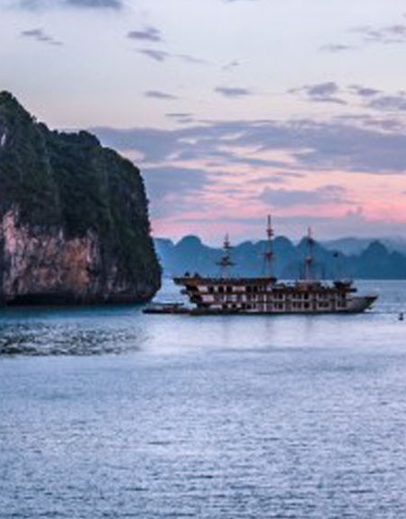 粉象生活邀请码