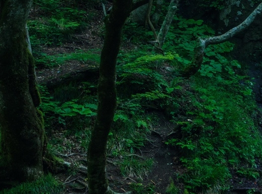 粉象生活团队制度
