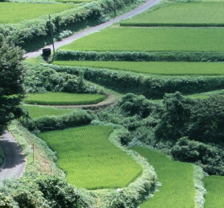 粉象生活天天乐团组队群