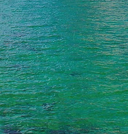 粉象生活投入在什么地方