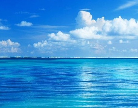 粉象生活引流方法