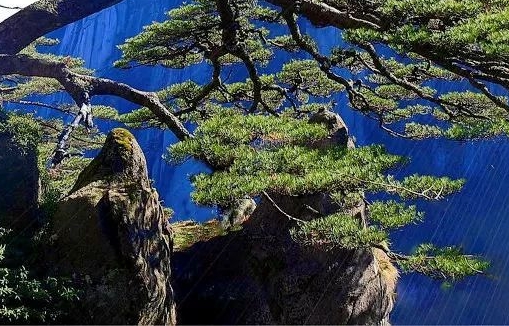 粉象生活的购物车在哪里