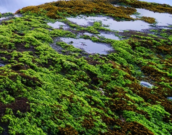 粉象生活怎么注册团队