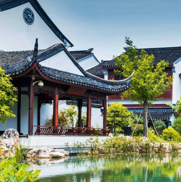粉象生活天一团队