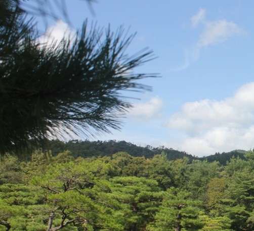 粉象生活下载官方正版