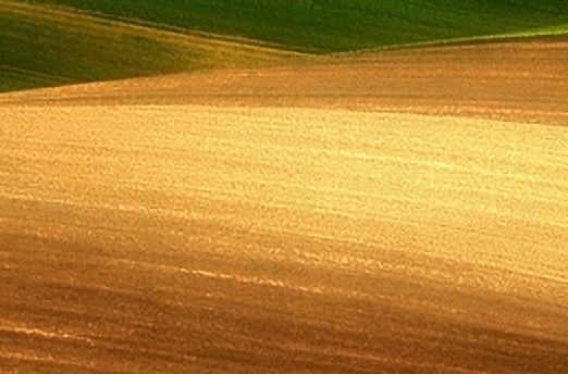 粉象生活怎么赚钱