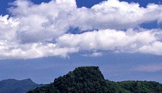 粉象生活推广一个多少钱