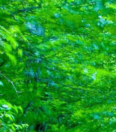 粉象生活公司简介