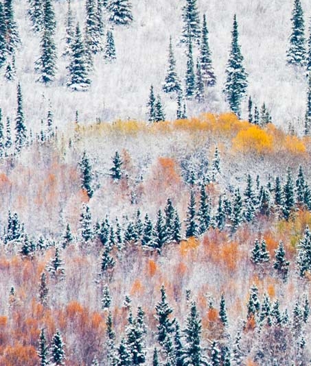 在舟山工作生活怎么样