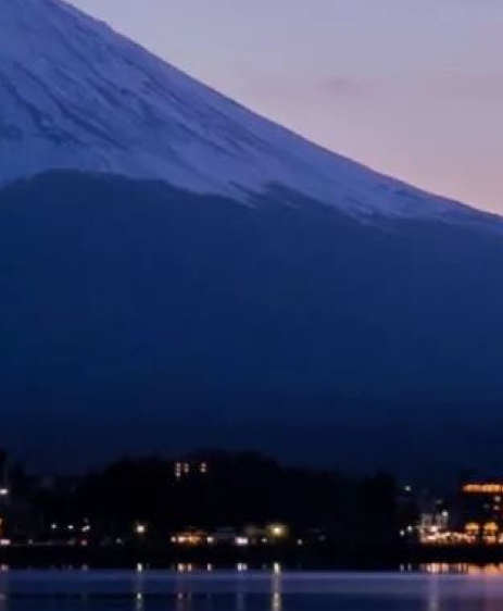 粉象生活下载官方正版