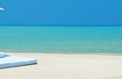 粉象生活可以赚钱吗