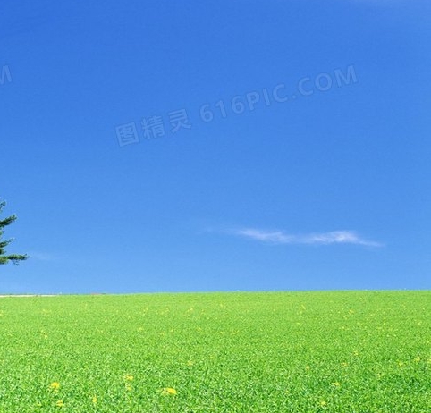 粉象生活如何赚积分