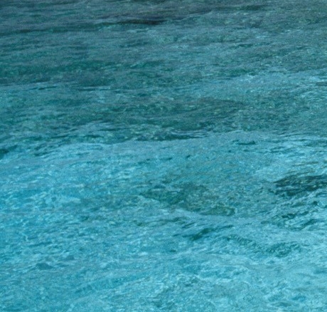 粉象生活邀请码