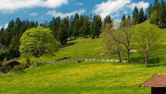 粉象生活线上引流是什么